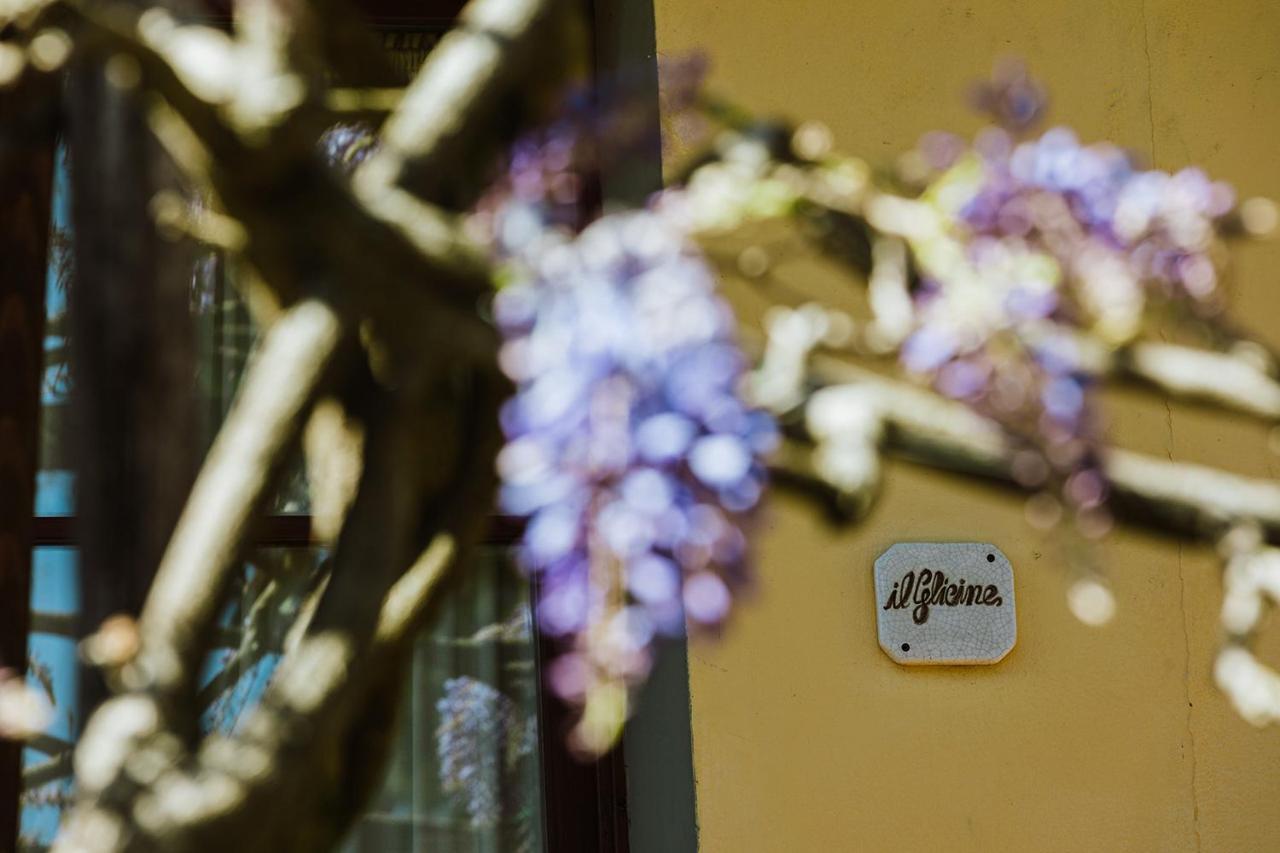 Agriturismo Montalbino Montespertoli Bagian luar foto